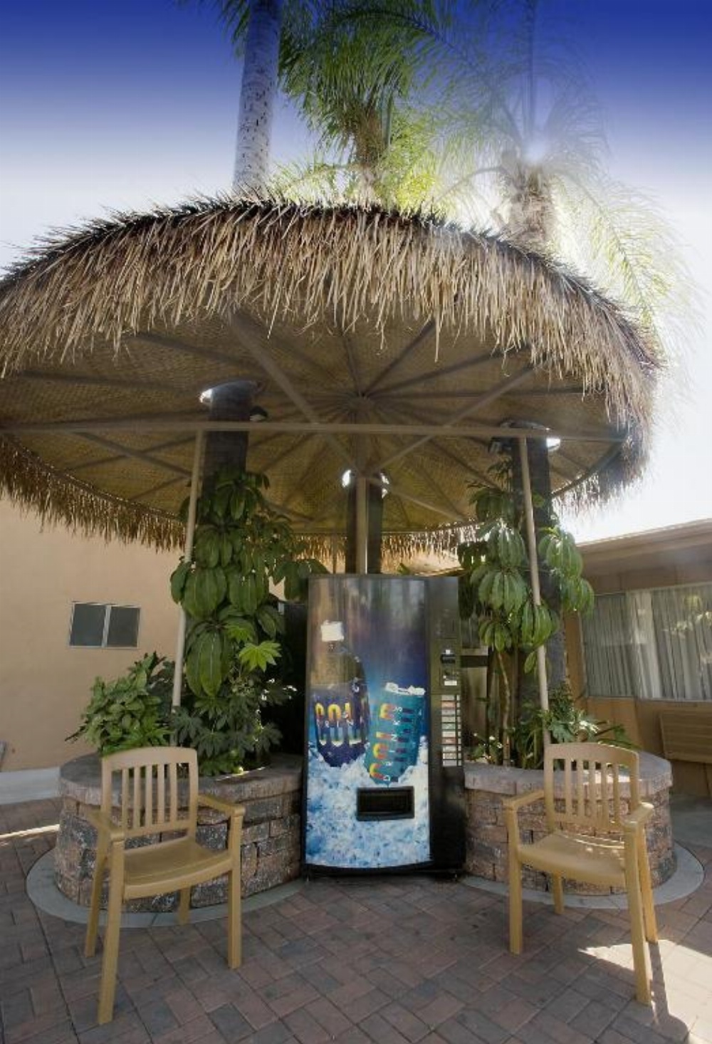 Best Western Pine Tree Motel Image 32
