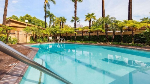 Best Western Pine Tree Motel image 33