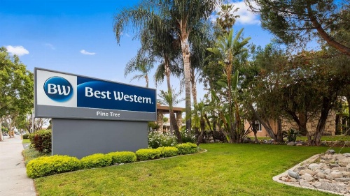 Best Western Pine Tree Motel image 35