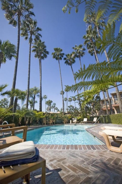 Best Western Pine Tree Motel image 48